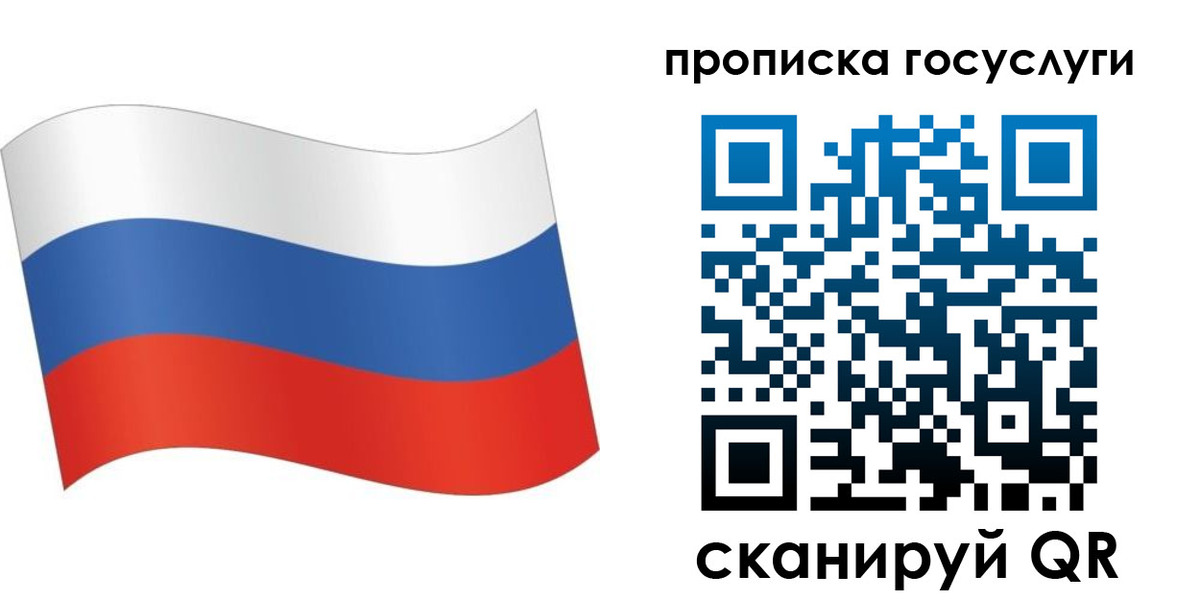 прописка для школы в Купино